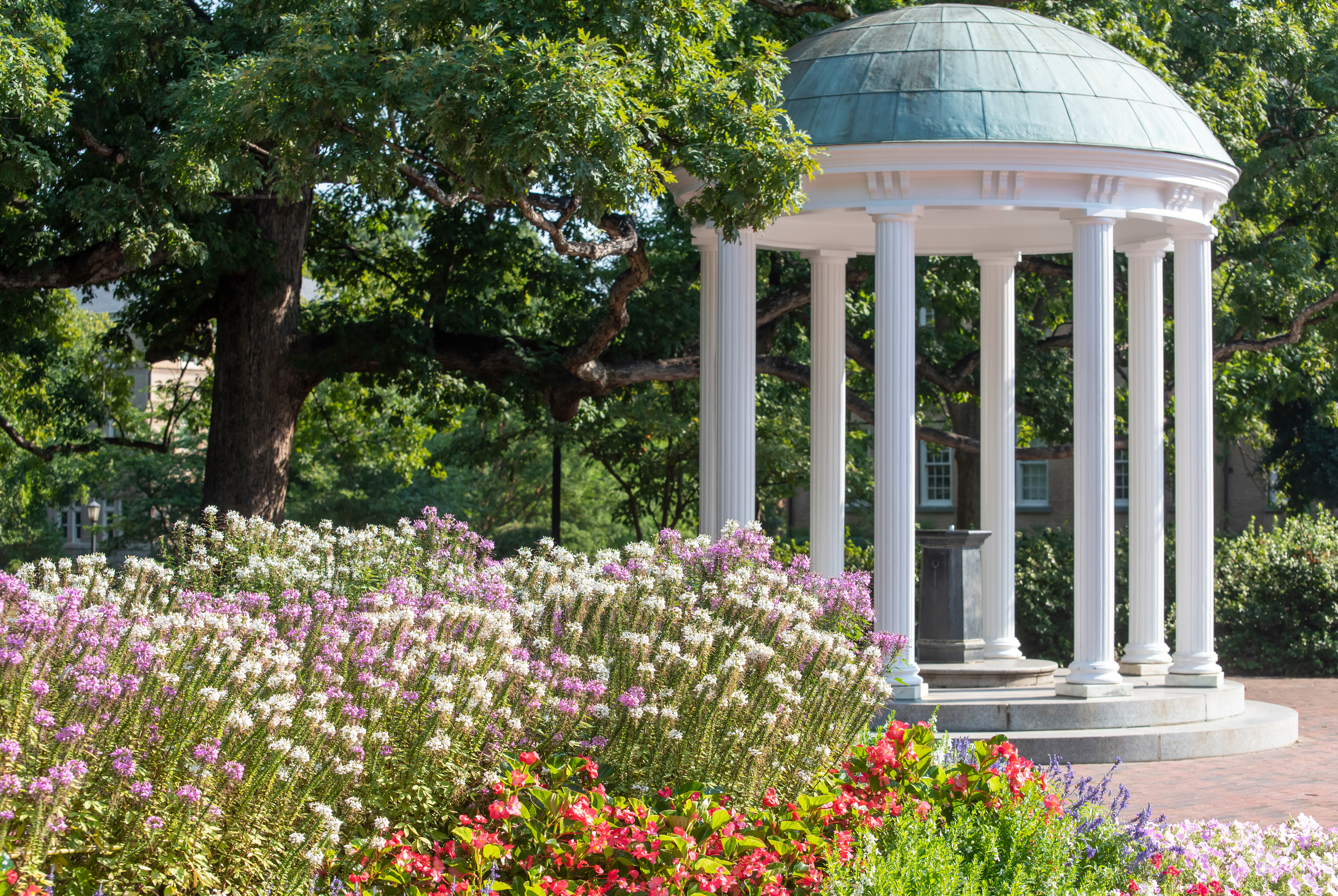 The Old Well at UNC Chapel Hill